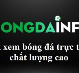 bong-da-info